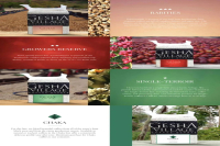 埃塞艺伎是什么咖啡品种？瑰夏村如何划分瑰夏等级？金标 红标 查卡批次咖啡分别有哪些？