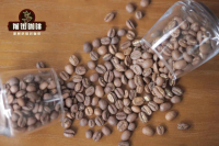 G1和G2的耶加雪菲咖啡豆差别大吗？埃塞俄比亚如何对咖啡生豆分级？怎么冲煮咖啡的“耶加雪菲味”