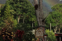 巴拿马精品咖啡产区有哪些？巴拿马咖啡庄园艾丽达Elida的发展历史？艾丽达庄园种植哪些咖啡品中