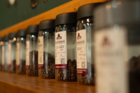 常见的咖啡等级有哪些？G1 G2 AA AB SHB指的是什么？各个咖啡产国如何对咖啡生豆分级？