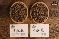 阿拉比卡咖啡豆介绍｜卡杜拉和卡杜艾是同一咖啡品种吗？哪些产国种植卡杜拉和卡杜艾？