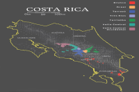 哥斯达黎加卡内特音乐家系列咖啡豆由来｜巴哈咖啡 萧邦咖啡 贝多芬咖啡 莫札特 咖啡风味有何不同？