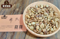 希爪Sidra是“被污染的瑰夏”？希爪是arabica咖啡吗？希爪发源地在哪？哥伦比亚希爪有何味道特点