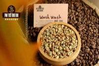 哥伦比亚咖啡种类Wush wush是阿拉比卡咖啡豆吗？有哪些风味特点