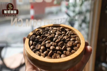 云南哪些地方种植咖啡 咖啡品种是什么？云南咖啡的发展历程如何？云南咖啡风味口感如何描述？