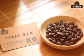 哥斯达黎加蜜处理咖啡介绍｜音乐家系列莫扎特和巴哈的风味有何不同