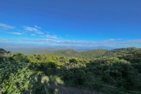 萨尔瓦多精品咖啡推荐｜萨尔瓦多咖啡起源与发展 萨尔瓦多天使庄园El Angel有何独特之处