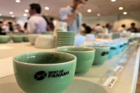 巴拿马卡托瓦邓肯庄园的咖啡种类、咖啡口味介绍、手冲咖啡比例