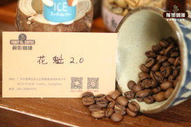 埃塞俄比亚咖啡豆风味｜西达摩 耶加雪菲 花魁的风味特点 西达摩与肯尼亚咖啡豆有何差异