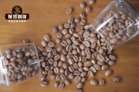 为什么埃塞俄比亚以瑕疵来划分咖啡生豆等级？G1和G2等级的耶加雪菲咖啡豆差异很大吗？