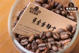 湿刨处理与传统水洗有什么区别？印尼湿刨法具体如何操作？