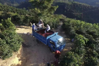 咖啡豆中的F1 H1指的是什么？哥斯达黎加音乐家系列咖啡风味为何独特？咖啡品种对味道口感有影响吗