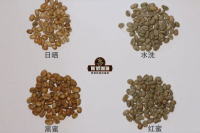 什么是蜜处理法？红蜜 黄蜜 白蜜 黑蜜有啥区别、咖啡风味差别大吗？哪些咖啡产地盛行蜜处理？