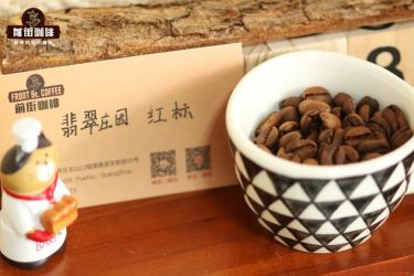 瑰夏咖啡产地在哪？巴拿马瑰夏和埃塞瑰夏是同一品种吗？不同产区的瑰夏有啥特色？