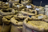 印度季风咖啡是什么？季风咖啡从何而来？印度豆的风渍处理过程是啥？风渍豆是陈年咖啡豆吗？