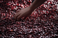 90+Ninety Plus只产出90分以上的咖啡豆吗？90+瑰夏庄园的由来及发展 90+庄园的特别之处是什么