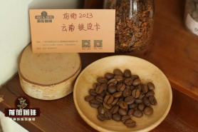 云南卡蒂姆是阿拉比卡还是罗布斯塔？前街云南咖啡喝起来如何？