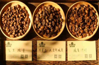 瑰夏咖啡是巴拿马的特有品种吗？哪些地方种植瑰夏？什么是“瑰夏味”？