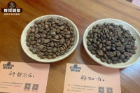 埃塞俄比亚咖啡分级制度介绍｜埃塞咖啡生豆有几个等级 等级标准是什么？咖啡豆的G1 G2代表了什么？
