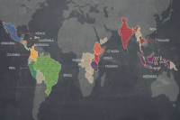 阿拉比卡咖啡豆Arabica介绍之铁皮卡Typica的世界传播史｜哪些国家产区主产铁皮卡咖啡豆？