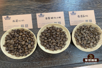 巴拿马精品咖啡产区 巴拿马咖啡种植发展史 巴拿马咖啡生豆如何划分等级 Panama coffee有什么特点