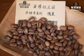 厌氧处理、酵素、二氧化碳浸渍的处理过程是什么 三者有何区别？厌氧咖啡喝起来怎么样？