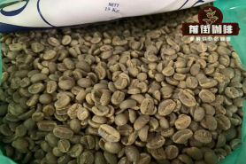 蓝山咖啡分级标准是什么？蓝山咖啡豆采用哪种处理法？牙买加蓝山为何好喝？什么是蓝山风味