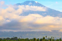 为何坦桑尼亚咖啡有“咖啡绅士”之名？乞力马扎罗咖啡产区种植哪些咖啡品种？非洲单品豆应该怎么冲泡