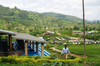 非洲产区精品手冲豆推荐｜卢旺达咖啡有哪些特色？南诗客产区的水洗红波旁怎么冲才好喝？