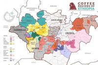 低因咖啡的优点和缺点 哥伦比亚的低因咖啡豆是什么品种