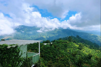 牙买加蓝山咖啡为何被称作咖啡皇帝？牙买加产出的咖啡都是真正的蓝山咖啡吗？蓝山咖啡价格高的原因是什么？