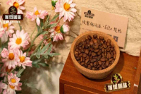 埃塞俄比亚/衣索比亚咖啡中的ELTO是什么咖啡品种？衣索比亚咖啡味道如何？
