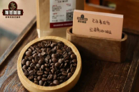 巴西咖啡生豆分级制度介绍｜巴西咖啡豆的最高等级是什么？