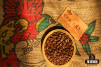 巴布亚新几内亚天堂鸟咖啡与牙买加蓝山有何关联？西格里庄园水洗铁皮卡味道口感如何？