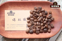 哥斯达黎加精品咖啡｜塔拉珠咖啡产区为何名气大？塔拉珠咖啡有什么风味口感？哥斯达黎加的咖啡分级制度是什么