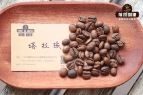 哥斯达黎加精品咖啡｜塔拉珠咖啡产区为何名气大？塔拉珠咖啡有什么风味口感？哥斯达黎加的咖啡分级制度是什么