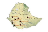 精品咖啡知识｜咖啡产地 咖啡庄园 处理厂 合作社 咖啡农场有啥区别？常见的咖啡原产地有哪些？