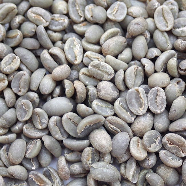 常见咖啡豆种介绍——原生种Heirloom