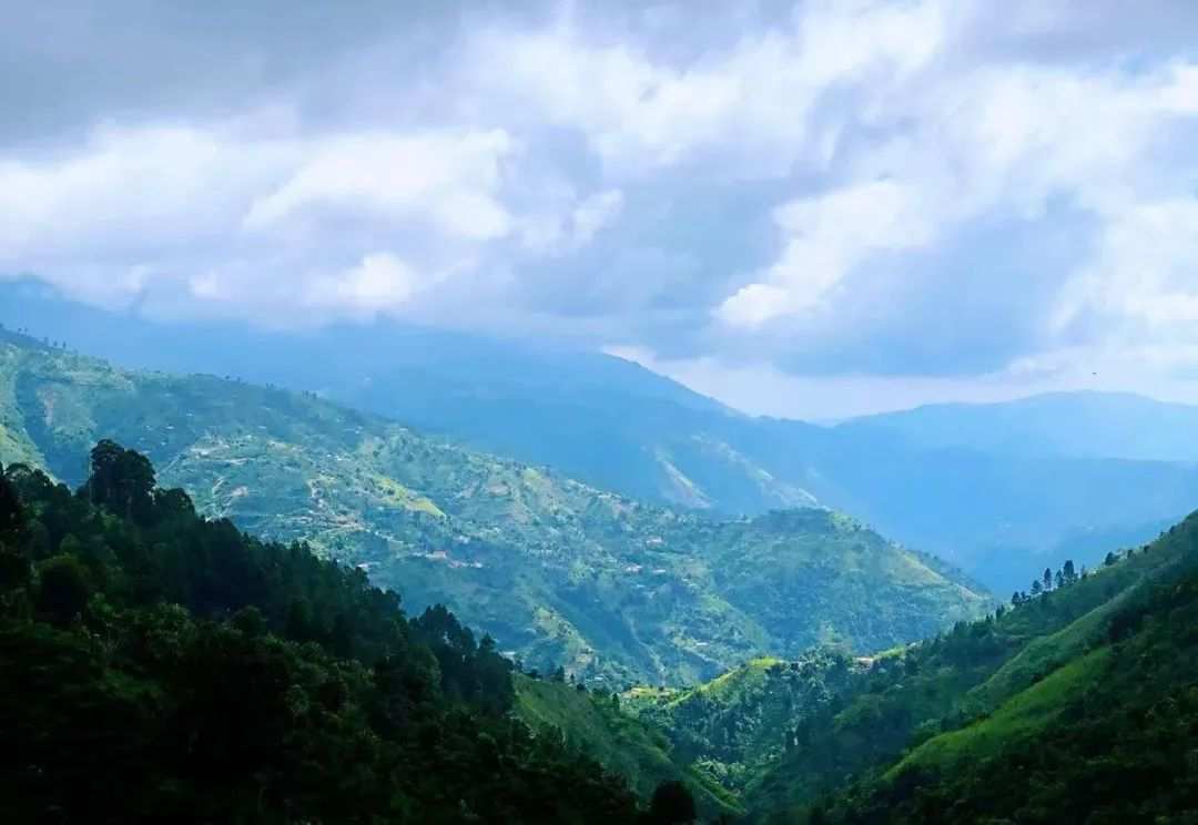 compressed_batch3_6 compressed_batch3_6