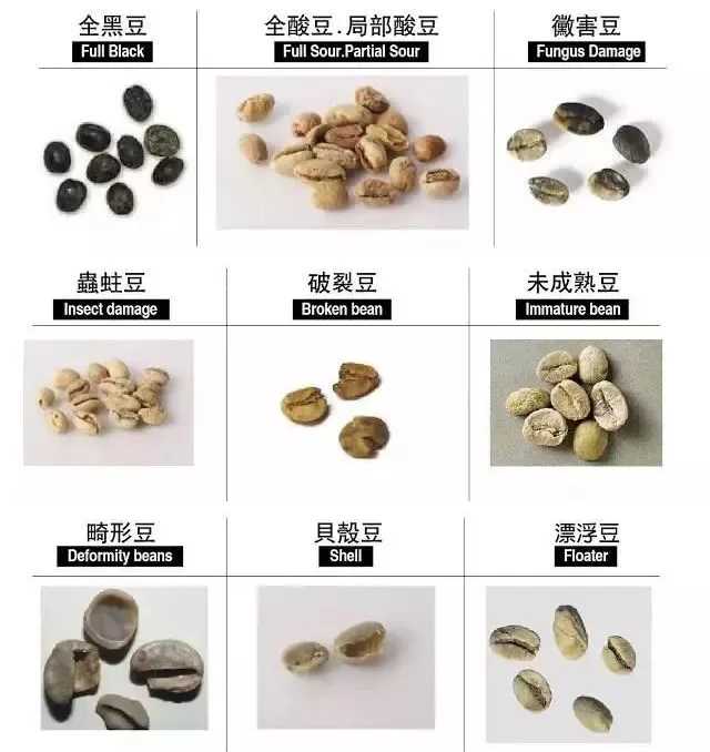 combined_defect_beans