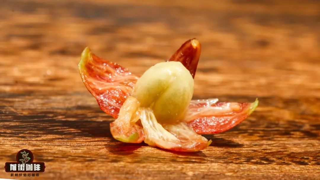 a4d35774-e71f-4ec3-a24b-5036495f44f9