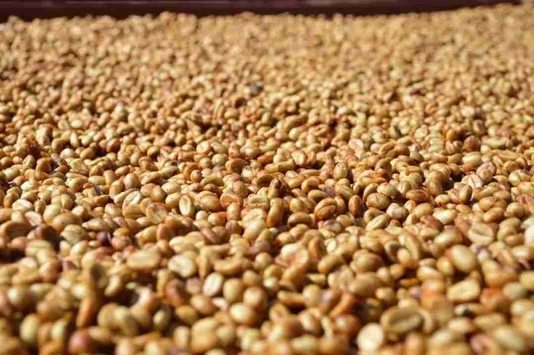 027e64f0-3b79-472c-a01e-10bf0a3ee814