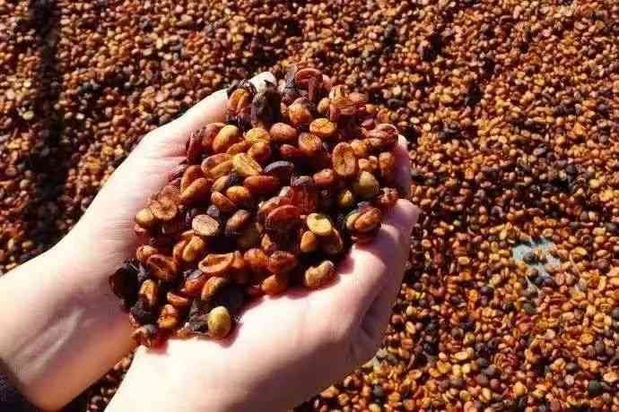 050cae7a-5b1a-44b6-a3a3-a66fe98a4452