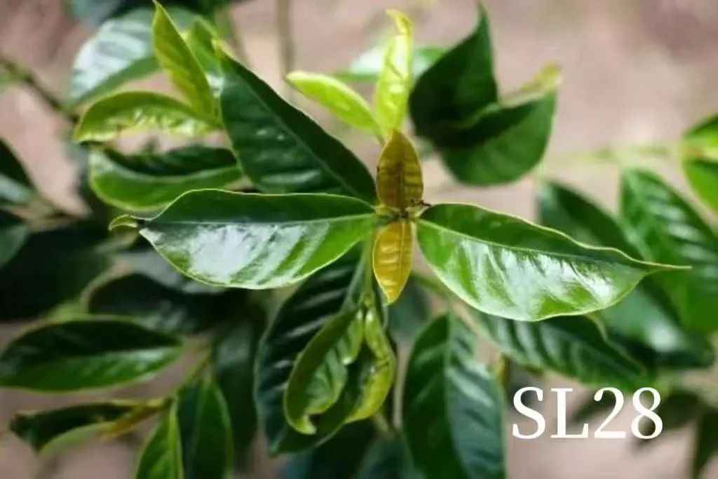 f6dafcc2-aa27-4839-80c1-0dd71c816479_compressed