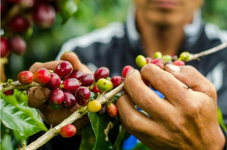 compressed_4 compressed_4