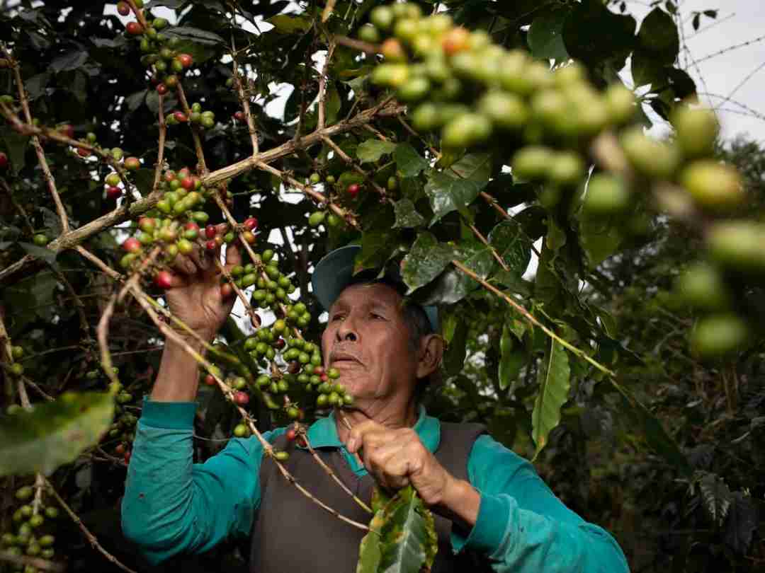 compressed_5 compressed_5