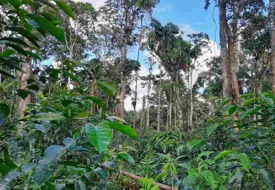 compressed_7 compressed_7