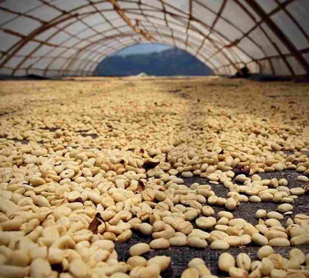 compressed_8 compressed_8