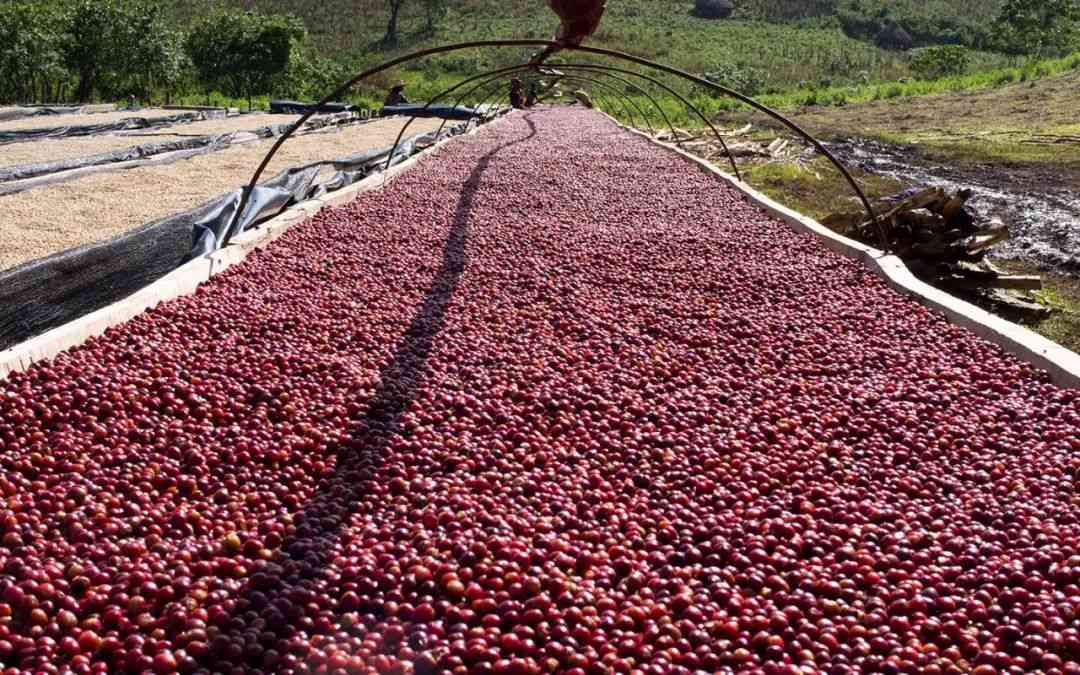 compressed_new_image_1