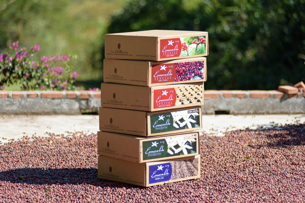 1765603041d9dc13 1765603041d9dc13